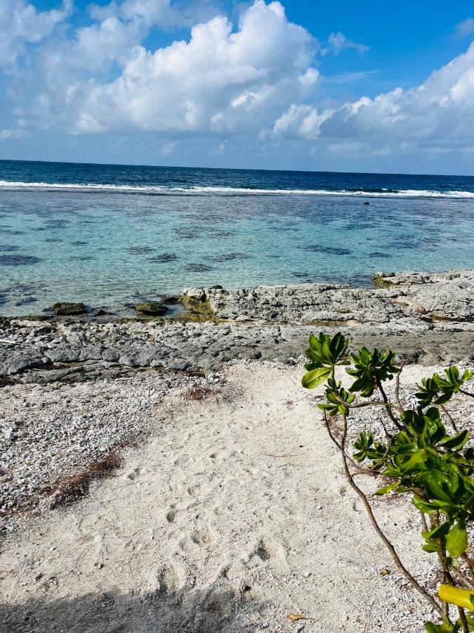 Bungalow Kura Moorea Eksteriør billede