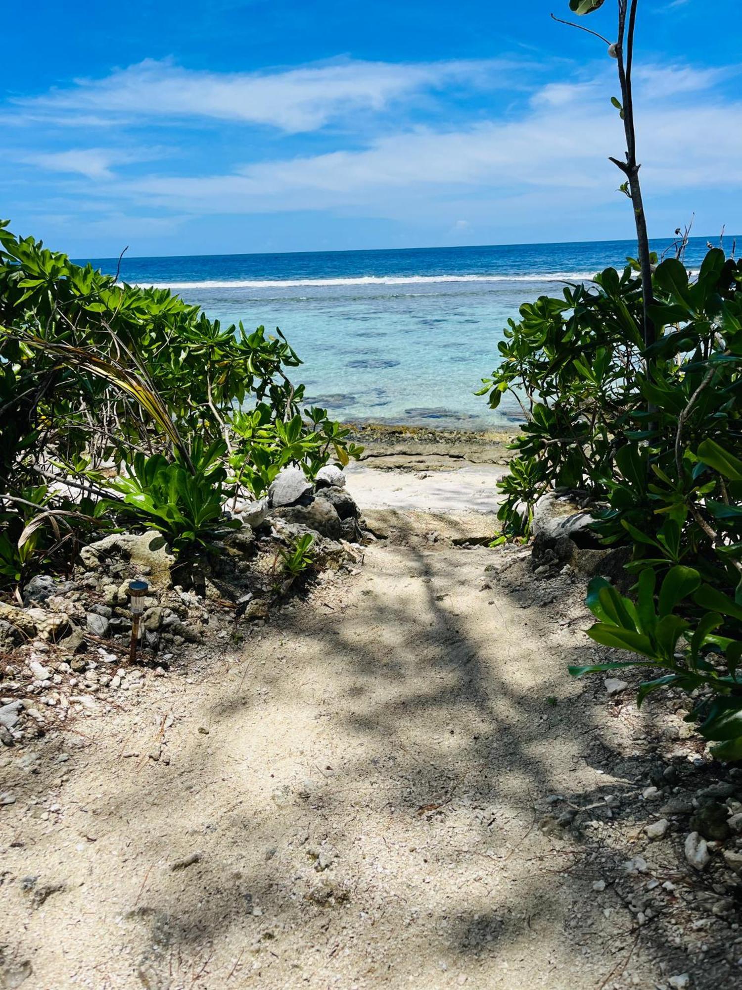 Bungalow Kura Moorea Eksteriør billede